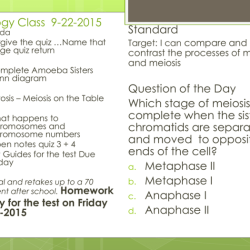 Meiosis amoeba sisters worksheet answers