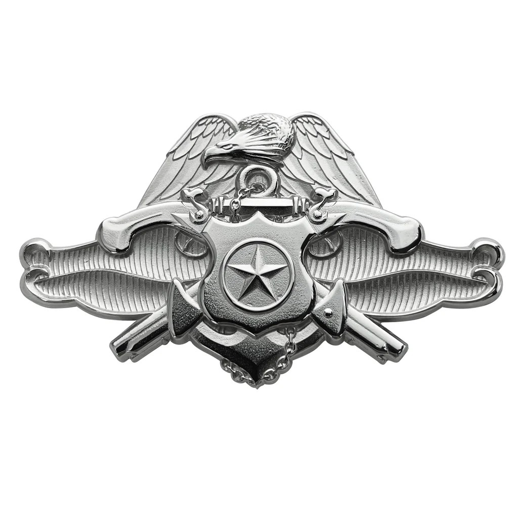 Navy security force specialist pin