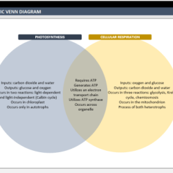 Frye vs daubert venn diagram