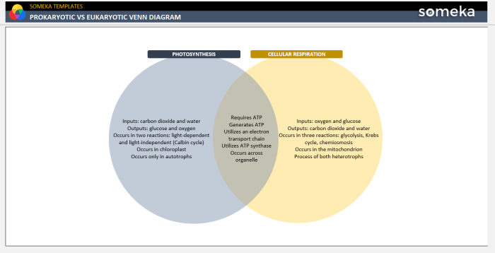 Frye vs daubert venn diagram