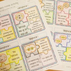 Mitosis puzzle activity answer key