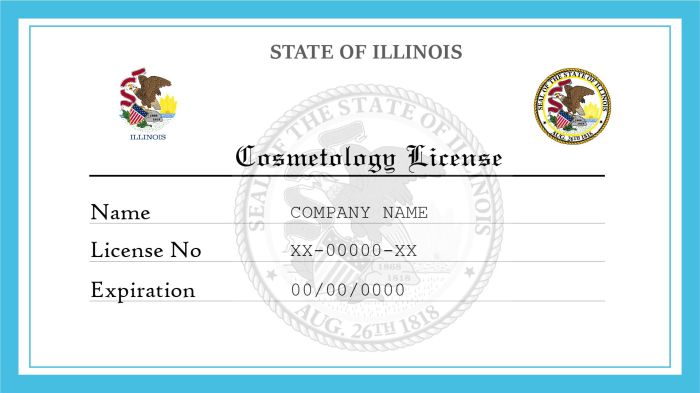 Board cosmetology minnesota mn cosmetologist examiners boards gov