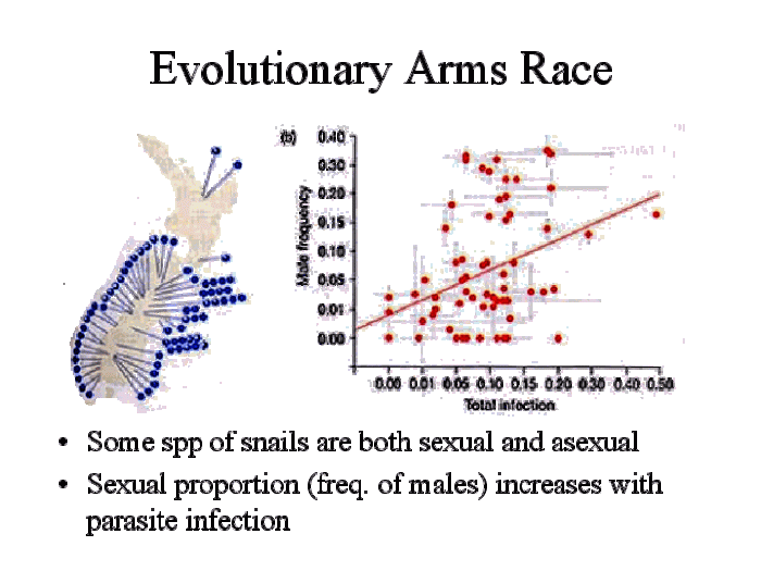 Video questions the evolutionary arms race