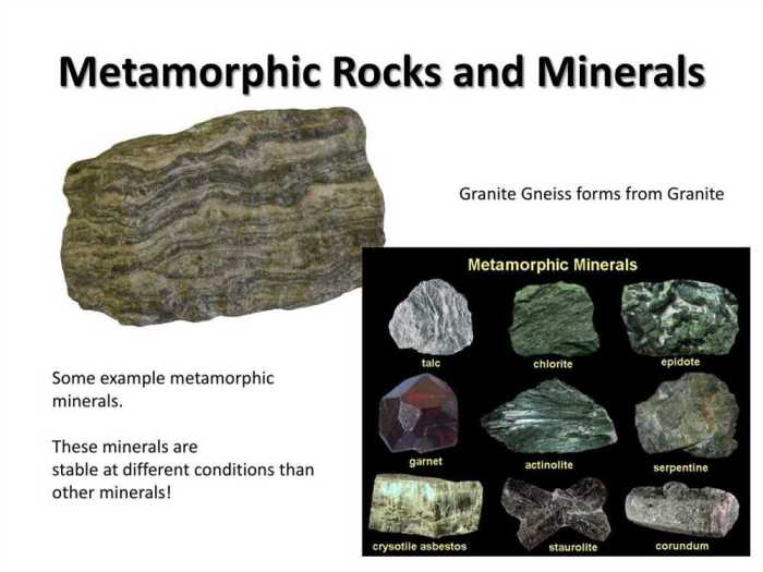 Metamorphic rocks printable click studyladder resource open